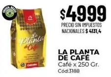 Diarco La planta de café - café x 250 gr. cód:3188 oferta
