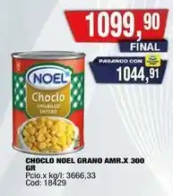 Maxiconsumo Noel - choclo grano amr.x 300 oferta