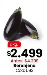 Coto Berenjena cod: 593 oferta