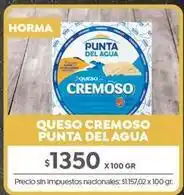 Jumbo Punta del agua - queso cremoso oferta
