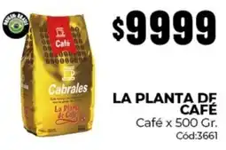 Diarco Cabrales café oferta