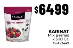 Diarco Karinat mix berries oferta