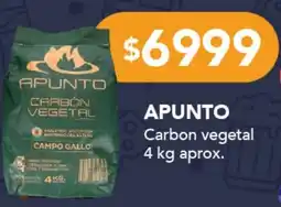 Nini Mayorista Apunto carbon vegetal oferta
