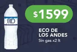 Nini Mayorista Eco de los andes oferta