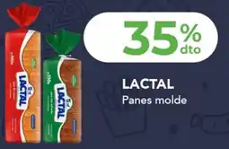 Nini Mayorista Lactal panes molde oferta