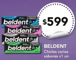 Nini Mayorista Beldent chicles varios sabores oferta