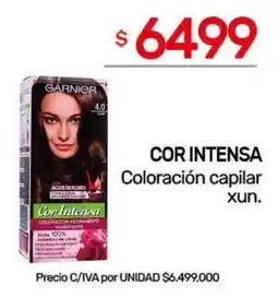 Nini Mayorista Garnier cor intensa oferta