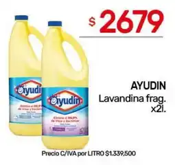 Nini Mayorista Ayudin lavandina frag. oferta