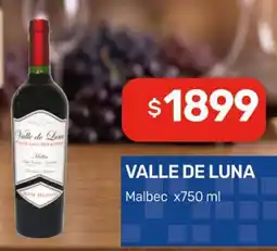 Nini Mayorista Valle de Luna Malbec oferta