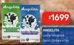 Nini Mayorista Angelita leche tetra brick oferta