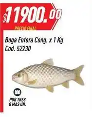 Supermercados Comodin Boga entera cong. cod. 52230 oferta