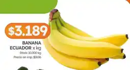 Cordiez Banana ecuador oferta