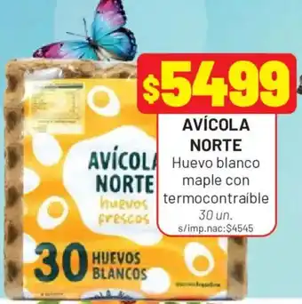 Avícola norte huevos frescos