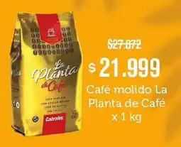 Makro La planta de café café torrefacto con azúcar molido oferta