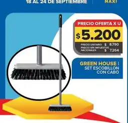 Carrefour Maxi Green house - set escobillon con cabo oferta