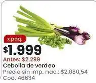 Coto Cebolla de verdeo oferta