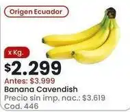 Coto Origen - banana cavendish cod. 446 oferta