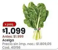 Coto Acelga oferta