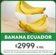 Jumbo Banana ecuador oferta