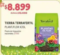 Makro Tierra plant/flor oferta