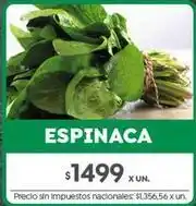 Jumbo Espinaca oferta