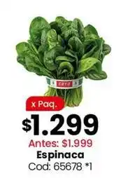 Coto Coto - espinaca oferta
