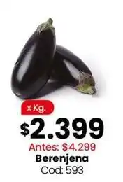Coto Berenjena cod: 593 oferta