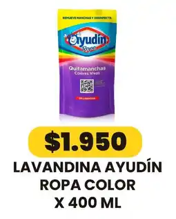 Autoservicio Capo Ayudín lavandina ropa color oferta