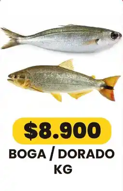 Autoservicio Capo Boga / Dorado oferta