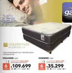 Nexon Golden flex oferta
