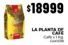 Diarco La planta de café - café x 1 kg. cód:12318 oferta