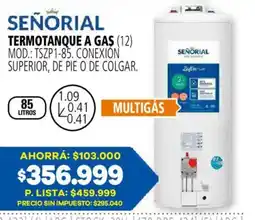 Casa del Audio Señorial termotanque a gas oferta
