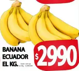 Supermercados Mariano Max Banana ecuador oferta