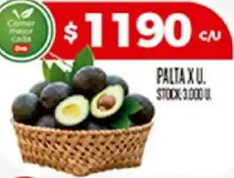 Palta