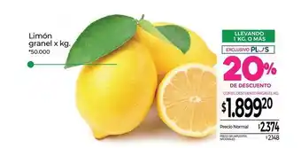 Limón granel