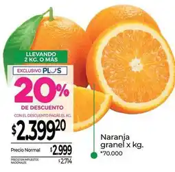 La Anonima Naranja granel oferta