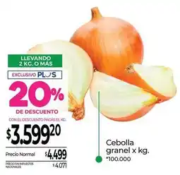La Anonima Cebolla granel x kg oferta
