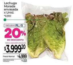 La Anonima Lechuga morada oferta
