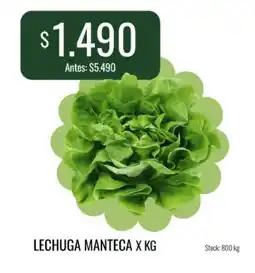 Super MAMI Lechuga manteca oferta