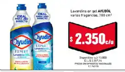 Cooperativa Obrera Hyudin lavandina en gel oferta