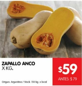 Disco Zapallo anco kg oferta