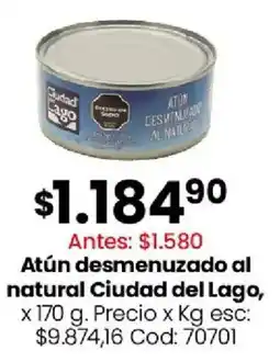 Coto Ciudad del Lago atún desmenuzado al natural oferta