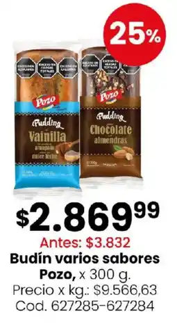 Coto Pozo budín varios sabores oferta