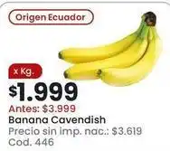 Coto Origen - banana cavendish cod. 446 oferta