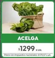 Jumbo Acelga oferta