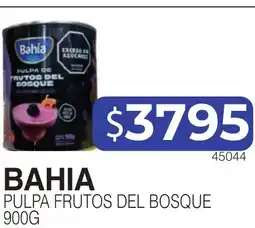 Masivos Bahia pulpa frutos del bosque oferta