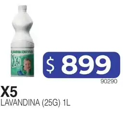 Masivos X5 lavandina oferta