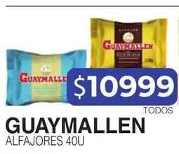 Masivos Guaymallen alfajores oferta