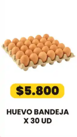 Autoservicio Capo Huevo bandeja oferta