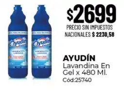 Diarco Ayudín lavandina en gel oferta
